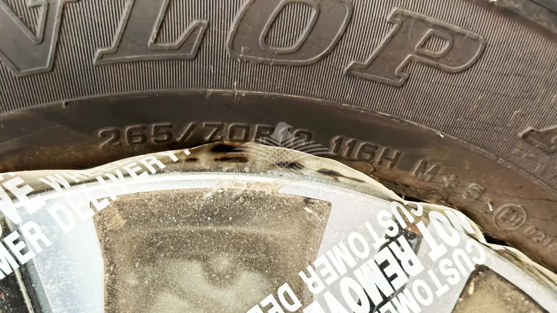 4.0L TITANIUM V6 7AT P 2023 - Image 8